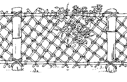 籬